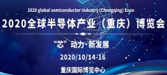 2020ȫ뵼ҵ죩Ʊָ